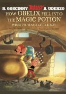 Asterix: How Obelix Fell Into The Magic Potion - cena, srovnání