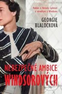 Nebezpečné ambice Windsorových - cena, srovnání