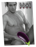 Orion Pin-up Calendar Real Cocks 2025 - cena, srovnání