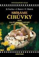 Sbíráme čirůvky a další chutné houby do naší kuchyně - cena, srovnání