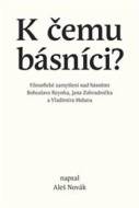 K čemu básníci? - cena, srovnání