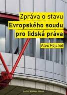 Zpráva o stavu Evropského soudu pro lidská práva - cena, srovnání