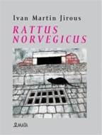 Rattus norvegicus - cena, srovnání