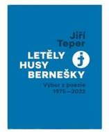 Letěly husy bernešky - cena, srovnání