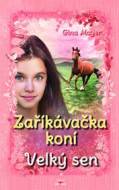 Zaříkávačka koní Velký sen - cena, srovnání