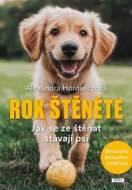 Rok štěněte - cena, srovnání