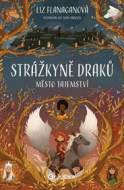 Strážkyně draků: Město tajemství - cena, srovnání