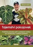 Tajemství pokojovek - cena, srovnání