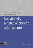 Sociální vliv a rizikové chování adolescentů - cena, srovnání