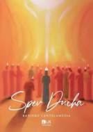 Spev Ducha - cena, srovnání