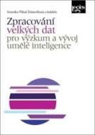 Zpracování velkých dat pro výzkum a vývoj umělé inteligence - cena, srovnání
