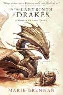 In the Labyrinth of Drakes - cena, srovnání