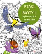 Vybarvování podle čísel: Ptáci a motýli - cena, srovnání