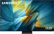 Samsung QE77S95F - cena, srovnání