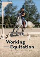 Working Equitation - cena, srovnání