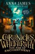 Chronicles of Whetherwhy: The Age of Enchantment - cena, srovnání