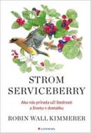 Strom Serviceberry - cena, srovnání