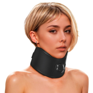 Master Series Hard Stance Padded Locking Posture Collar - cena, srovnání