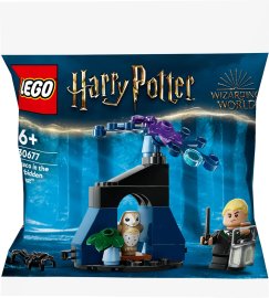 Lego 30677 Draco v Zakázanom lese